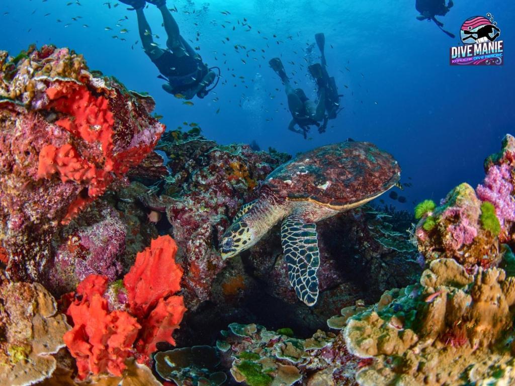 Khaolak Dive Resort Khao Lak Luaran gambar