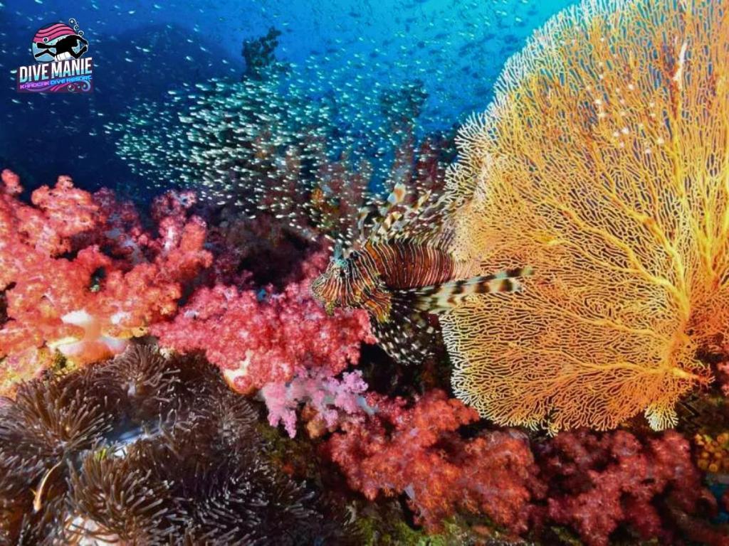 Khaolak Dive Resort Khao Lak Luaran gambar